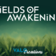 Announcement: Fields of Awakening NOW for SALE!