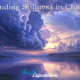 Finding Stillness in Chaos