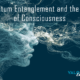 Quantum Entanglement and the Web of Consciousness
