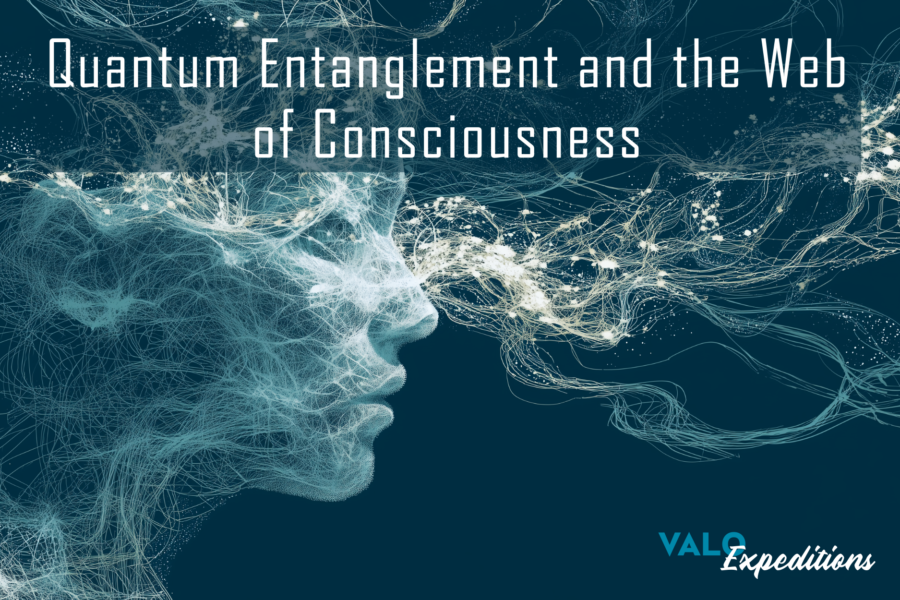 Quantum Entanglement and the Web of Consciousness