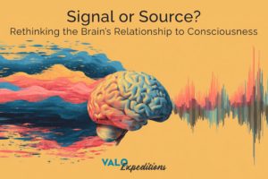 Signal or Source? Rethinking the Brain’s Relationship to Consciousness