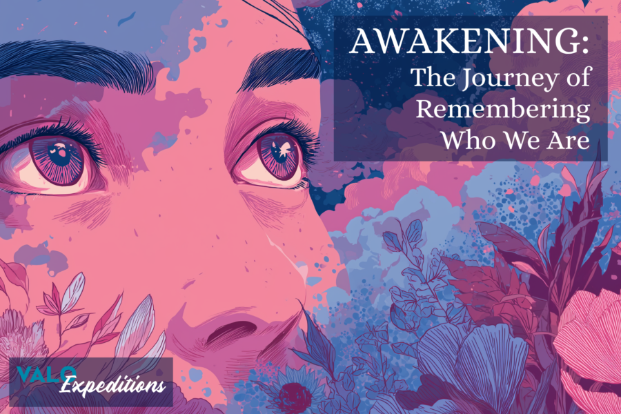 Awakening: The Journey of Remembering Who We Are