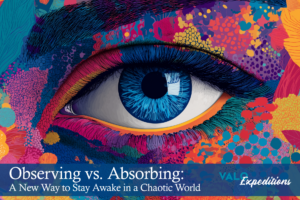Observing vs. Absorbing: A New Way to Stay Awake in a Chaotic World