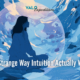 The Strange Way Intuition Actually Works